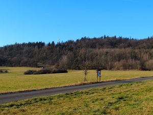 NS Lesní panorama