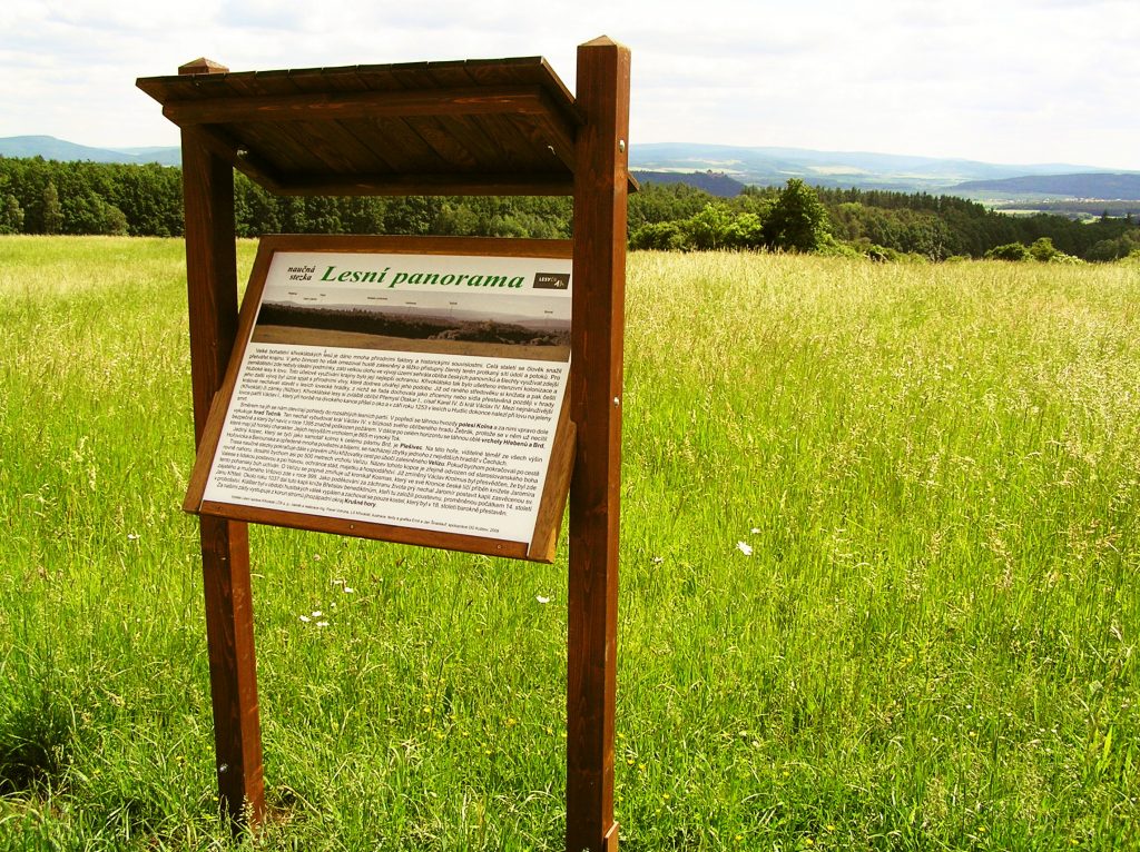 NS Lesní panorama