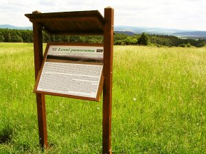 NS Lesní panorama