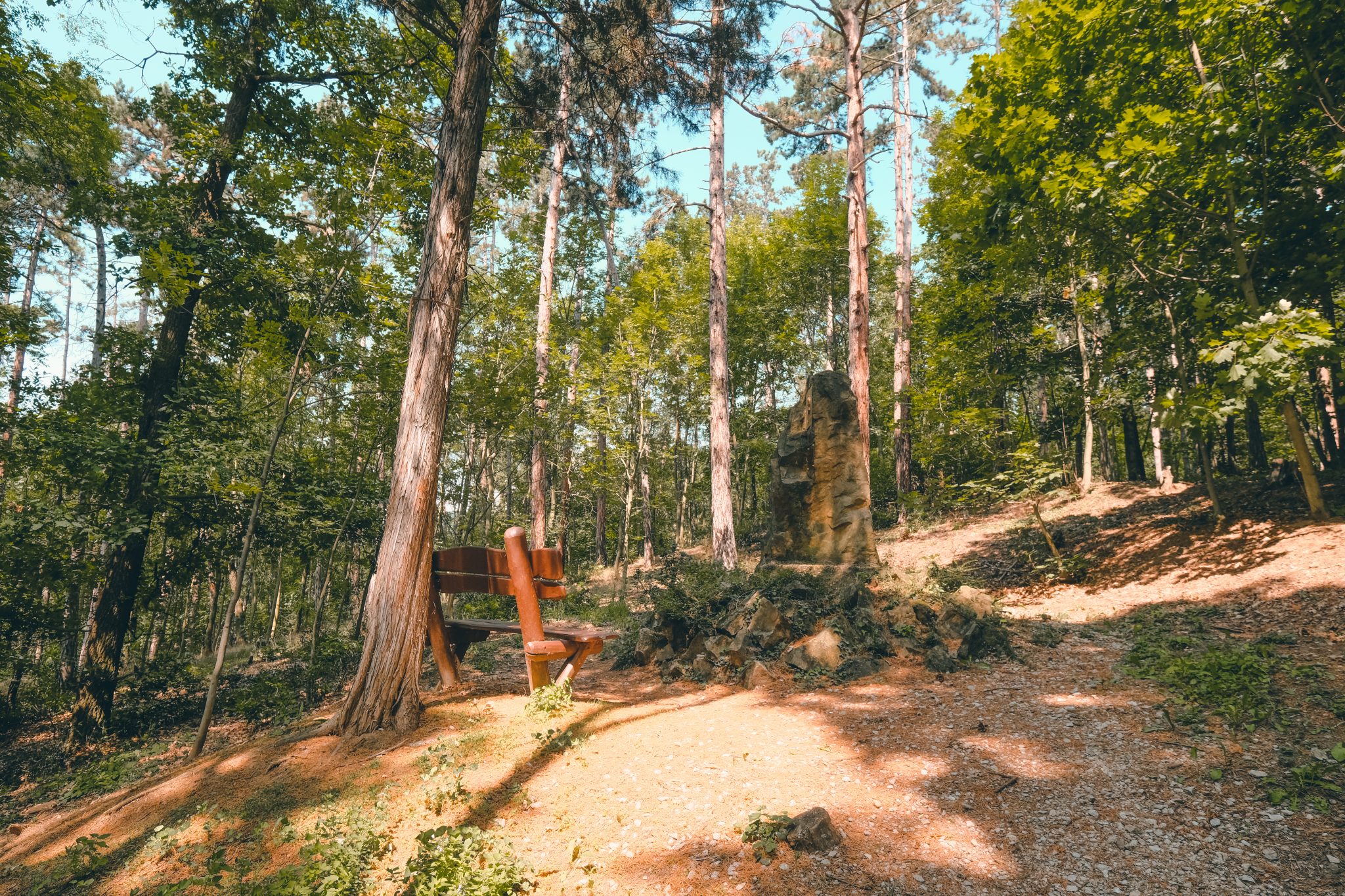Naučná stezka Lesopark Knihov