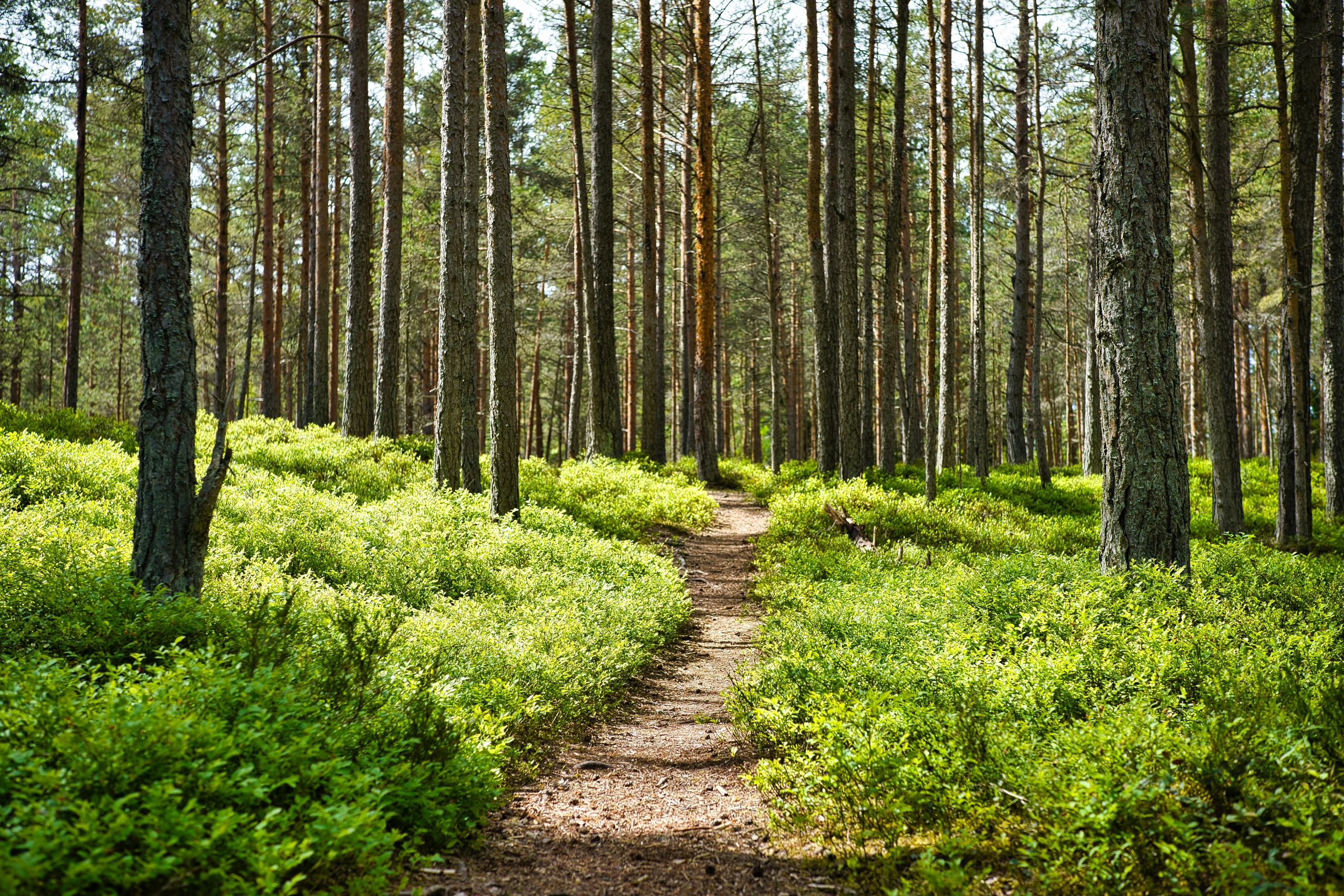 Zahájení turistické sezóny Berounska 2021