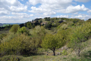 Národní přírodní památky Zlatý kůň