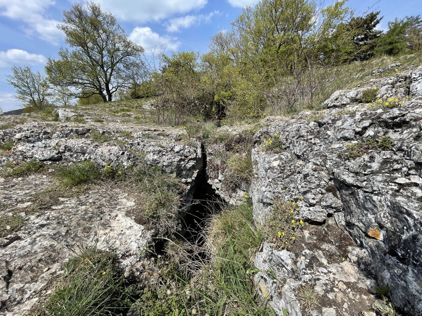 Jelínkův most