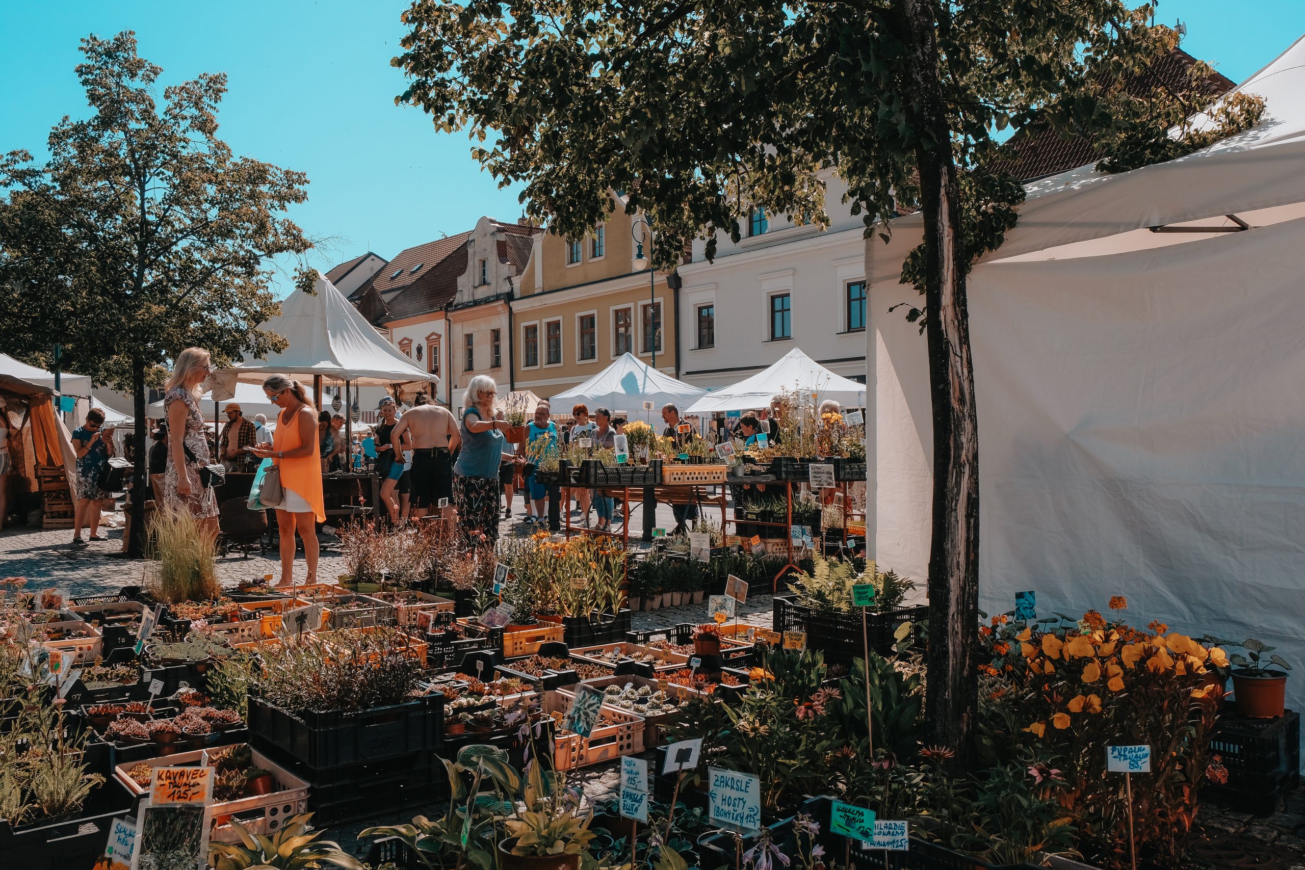 Jarní hrnčířské trhy Beroun II.