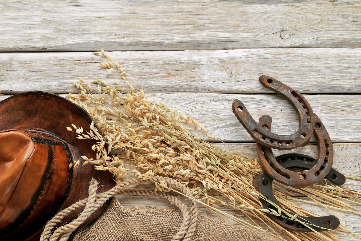 Tetínské farmářské trhy – Kovbojské léto