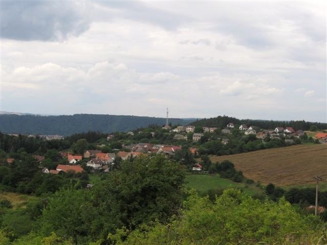 Sýkořice