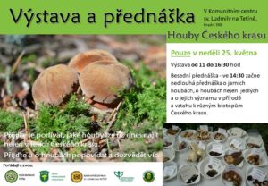 Houby Českého krasu