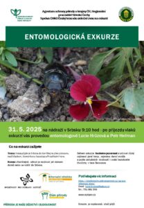 Entomologiká exkurze
