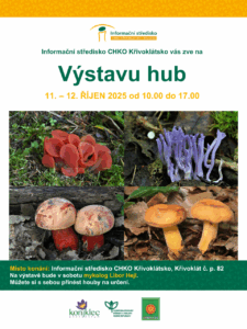 Výstava hub