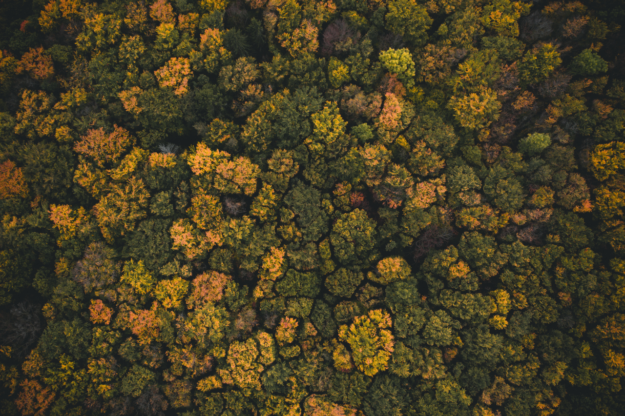 Otevření instalace křížové cesty ve Žloukovicích