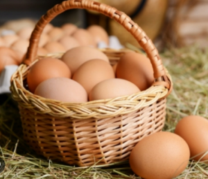 Vejce od lokálních dodavatelů