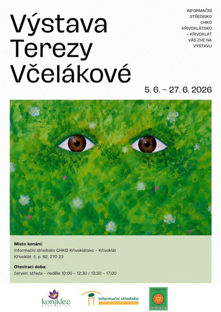 Výstava Terezy Včelákové