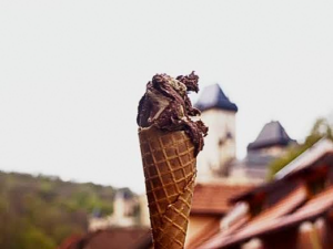 Gelarto s karlstejnem