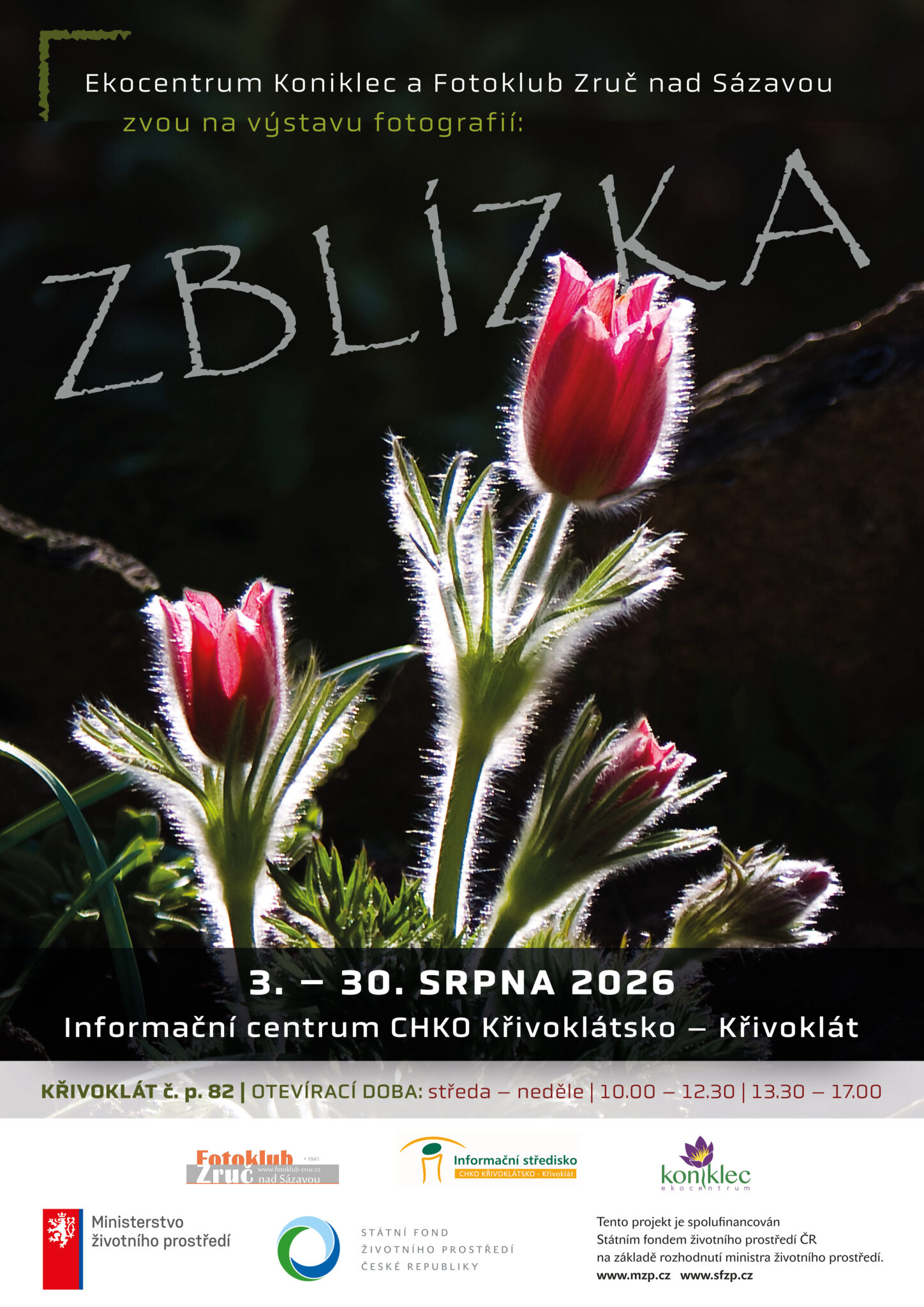 Zblízka: Výstava fotografií Fotoklubu Zruč nad Sázavou
